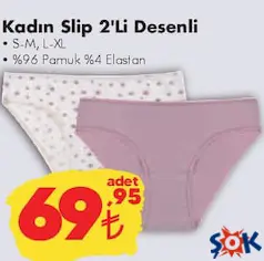 KADIN SLİP KÜLOT 2'Lİ DESENLİ